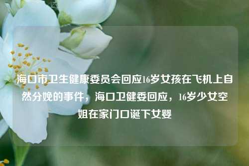 海口市卫生健康委员会回应16岁女孩在飞机上自然分娩的事件，海口卫健委回应，16岁少女空姐在家门口诞下女婴