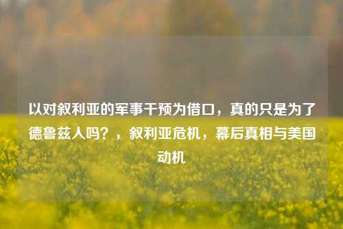 以对叙利亚的军事干预为借口，真的只是为了德鲁兹人吗？，叙利亚危机，幕后真相与美国动机
