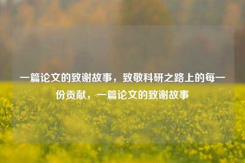 一篇论文的致谢故事，致敬科研之路上的每一份贡献，一篇论文的致谢故事