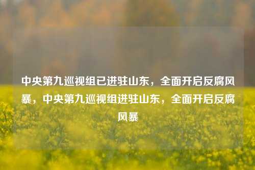 中央第九巡视组已进驻山东，全面开启反腐风暴，中央第九巡视组进驻山东，全面开启反腐风暴