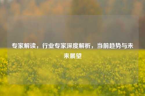 专家解读，行业专家深度解析，当前趋势与未来展望