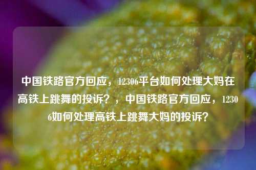 中国铁路官方回应，12306平台如何处理大妈在高铁上跳舞的投诉？，中国铁路官方回应，12306如何处理高铁上跳舞大妈的投诉？
