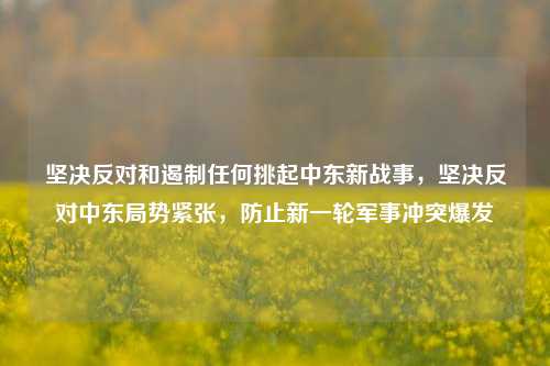 坚决反对和遏制任何挑起中东新战事，坚决反对中东局势紧张，防止新一轮军事冲突爆发