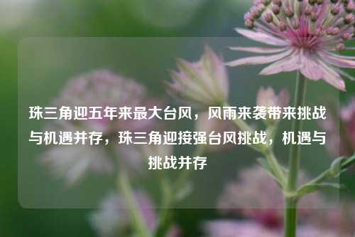 珠三角迎五年来最大台风，风雨来袭带来挑战与机遇并存，珠三角迎接强台风挑战，机遇与挑战并存