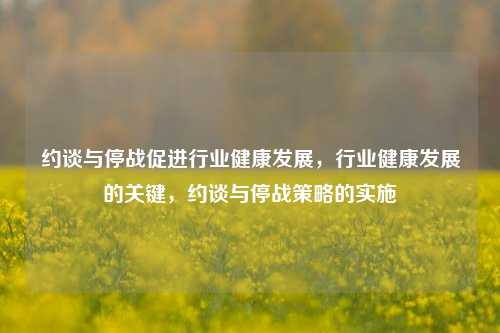 约谈与停战促进行业健康发展，行业健康发展的关键，约谈与停战策略的实施