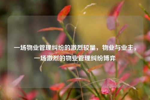 一场物业管理纠纷的激烈较量，物业与业主，一场激烈的物业管理纠纷博弈