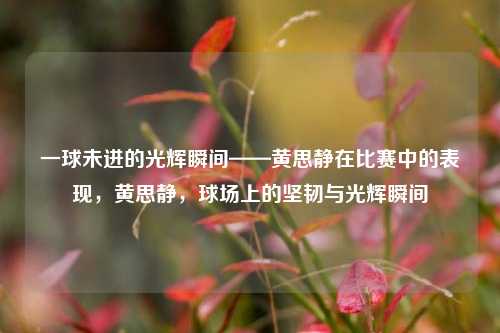 一球未进的光辉瞬间——黄思静在比赛中的表现，黄思静，球场上的坚韧与光辉瞬间