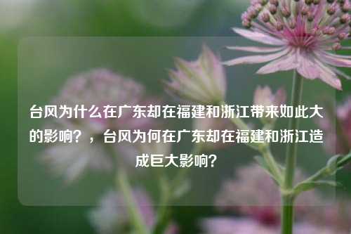 台风为什么在广东却在福建和浙江带来如此大的影响？，台风为何在广东却在福建和浙江造成巨大影响？