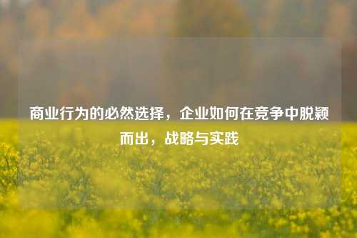商业行为的必然选择，企业如何在竞争中脱颖而出，战略与实践
