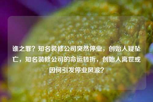 谁之罪？知名装修公司突然停业，创始人疑坠亡，知名装修公司的命运转折，创始人离世或因何引发停业风波？
