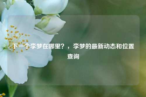下一个李梦在哪里？，李梦的最新动态和位置查询