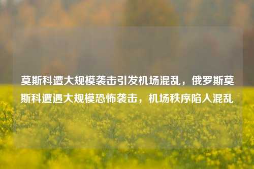 莫斯科遭大规模袭击引发机场混乱，俄罗斯莫斯科遭遇大规模恐怖袭击，机场秩序陷入混乱
