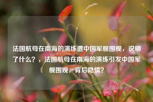 法国航母在南海的演练遭中国军舰围观，说明了什么？，法国航母在南海的演练引发中国军舰围观，背后隐情？