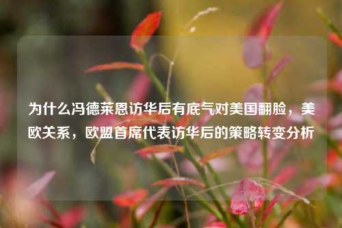为什么冯德莱恩访华后有底气对美国翻脸，美欧关系，欧盟首席代表访华后的策略转变分析