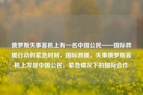 俄罗斯失事客机上有一名中国公民——国际救援行动的紧急时刻，国际救援，失事俄罗斯客机上发现中国公民，紧急情况下的国际合作