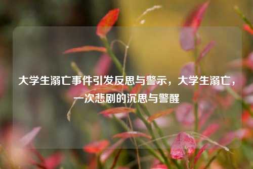 大学生溺亡事件引发反思与警示，大学生溺亡，一次悲剧的沉思与警醒
