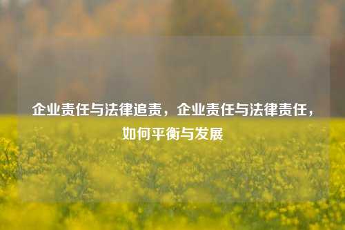 企业责任与法律追责，企业责任与法律责任，如何平衡与发展