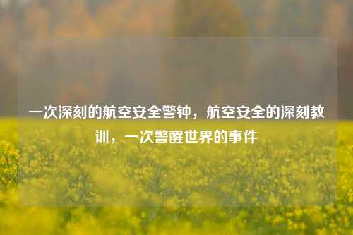 一次深刻的航空安全警钟，航空安全的深刻教训，一次警醒世界的事件