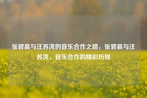 张碧晨与汪苏泷的音乐合作之路，张碧晨与汪苏泷，音乐合作的精彩历程