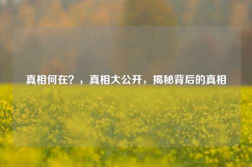 真相何在？，真相大公开，揭秘背后的真相