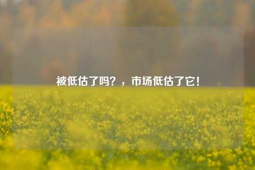 被低估了吗？，市场低估了它！