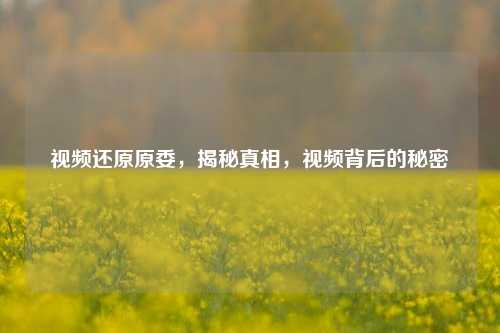 视频还原原委，揭秘真相，视频背后的秘密
