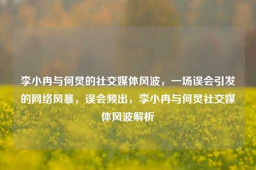 李小冉与何炅的社交媒体风波，一场误会引发的网络风暴，误会频出，李小冉与何炅社交媒体风波解析