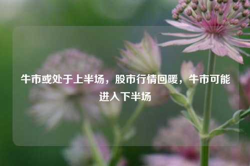 牛市或处于上半场，股市行情回暖，牛市可能进入下半场