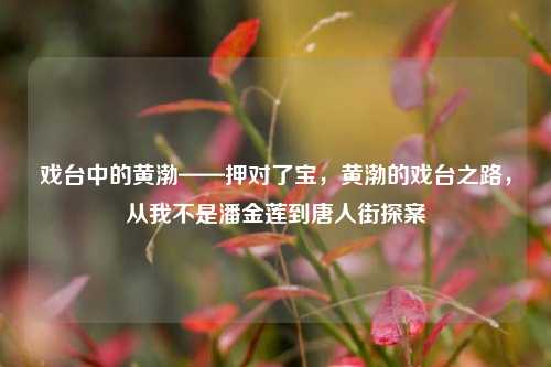 戏台中的黄渤——押对了宝，黄渤的戏台之路，从我不是潘金莲到唐人街探案