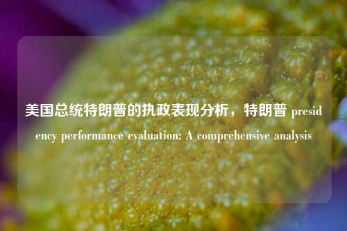 美国总统特朗普的执政表现分析，特朗普 presidency performance evaluation: A comprehensive analysis