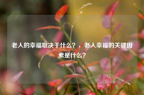 老人的幸福取决于什么？，老人幸福的关键因素是什么？