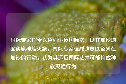 国际专家指责以色列违反国际法，以在加沙地区实施种族灭绝，国际专家强烈谴责以色列在加沙的行动，认为其违反国际法并可能构成种族灭绝行为