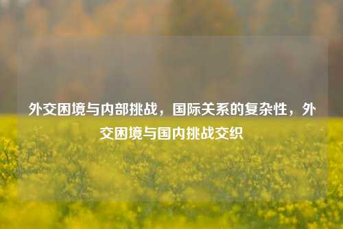 外交困境与内部挑战，国际关系的复杂性，外交困境与国内挑战交织
