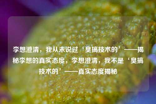 李想澄清，我从未说过‘臭搞技术的’——揭秘李想的真实态度，李想澄清，我不是‘臭搞技术的’——真实态度揭秘