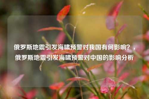 俄罗斯地震引发海啸预警对我国有何影响？，俄罗斯地震引发海啸预警对中国的影响分析