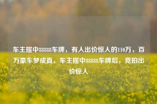 车主摇中88888车牌，有人出价惊人的110万，百万豪车梦成真，车主摇中88888车牌后，竞拍出价惊人