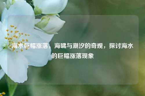 海水巨幅涨落，海啸与潮汐的奇观，探讨海水的巨幅涨落现象