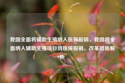 我国全面将辅助生殖纳入医保报销，我国将全面纳入辅助生殖项目到医保报销，改革措施解析