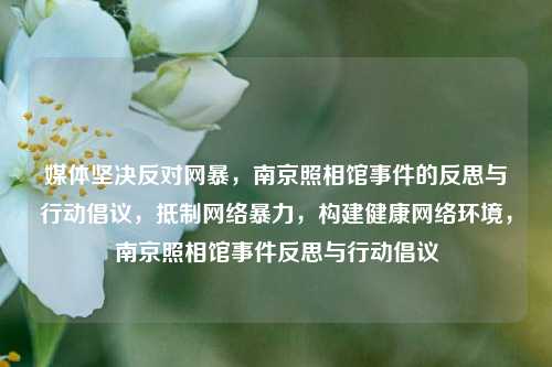 媒体坚决反对网暴，南京照相馆事件的反思与行动倡议，抵制网络暴力，构建健康网络环境，南京照相馆事件反思与行动倡议