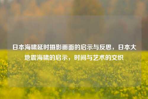 日本海啸延时摄影画面的启示与反思，日本大地震海啸的启示，时间与艺术的交织