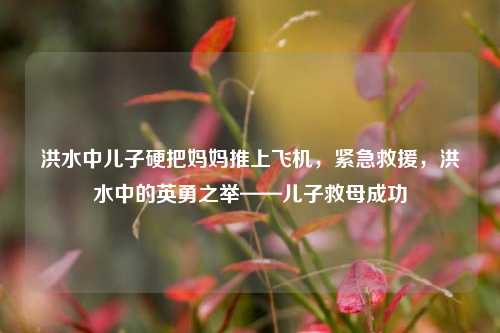 洪水中儿子硬把妈妈推上飞机，紧急救援，洪水中的英勇之举——儿子救母成功