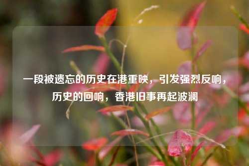一段被遗忘的历史在港重映，引发强烈反响，历史的回响，香港旧事再起波澜