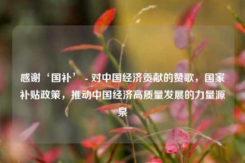 感谢‘国补’ - 对中国经济贡献的赞歌，国家补贴政策，推动中国经济高质量发展的力量源泉