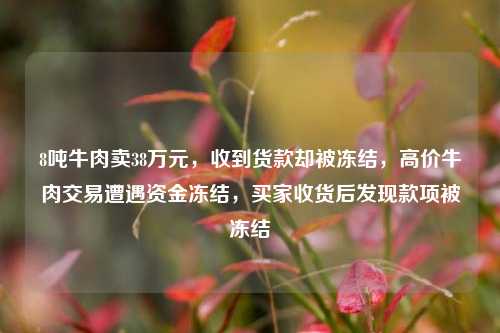8吨牛肉卖38万元，收到货款却被冻结，高价牛肉交易遭遇资金冻结，买家收货后发现款项被冻结