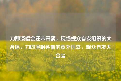 刀郎演唱会还未开演，现场观众自发组织的大合唱，刀郎演唱会前的意外惊喜，观众自发大合唱