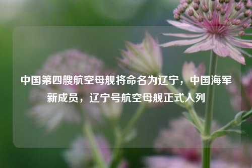 中国第四艘航空母舰将命名为辽宁，中国海军新成员，辽宁号航空母舰正式入列
