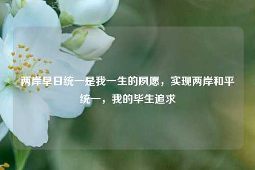 两岸早日统一是我一生的夙愿，实现两岸和平统一，我的毕生追求