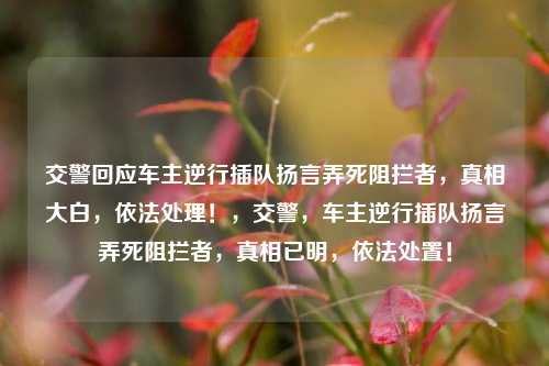 交警回应车主逆行插队扬言弄死阻拦者，真相大白，依法处理！，交警，车主逆行插队扬言弄死阻拦者，真相已明，依法处置！