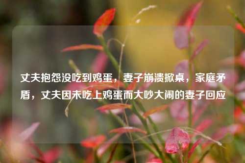 丈夫抱怨没吃到鸡蛋，妻子崩溃掀桌，家庭矛盾，丈夫因未吃上鸡蛋而大吵大闹的妻子回应