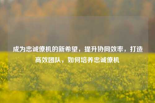 成为忠诚僚机的新希望，提升协同效率，打造高效团队，如何培养忠诚僚机